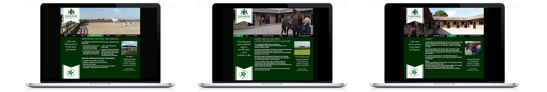 Daresbury Equestrian website design 3 screenshots home page, livery and facilities page showing horse in a paddock